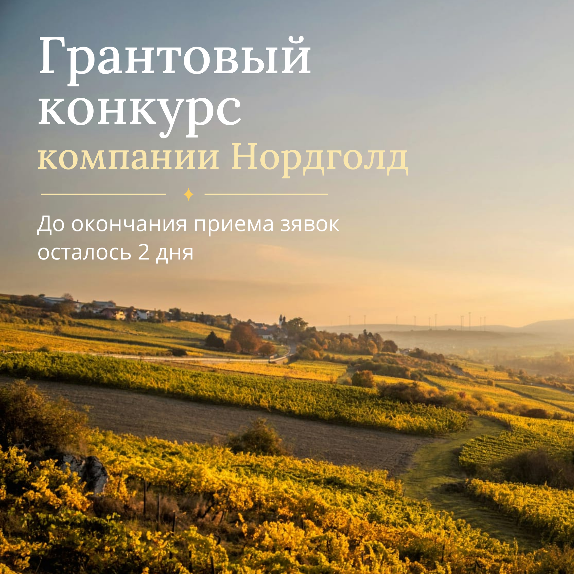 До окончания приёма заявок на грантовый конкурс компании «Нордголд» — 2026 осталось всего 2 полных дня